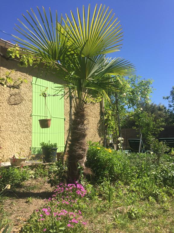 Villa La Marpierre Mondragon Extérieur photo